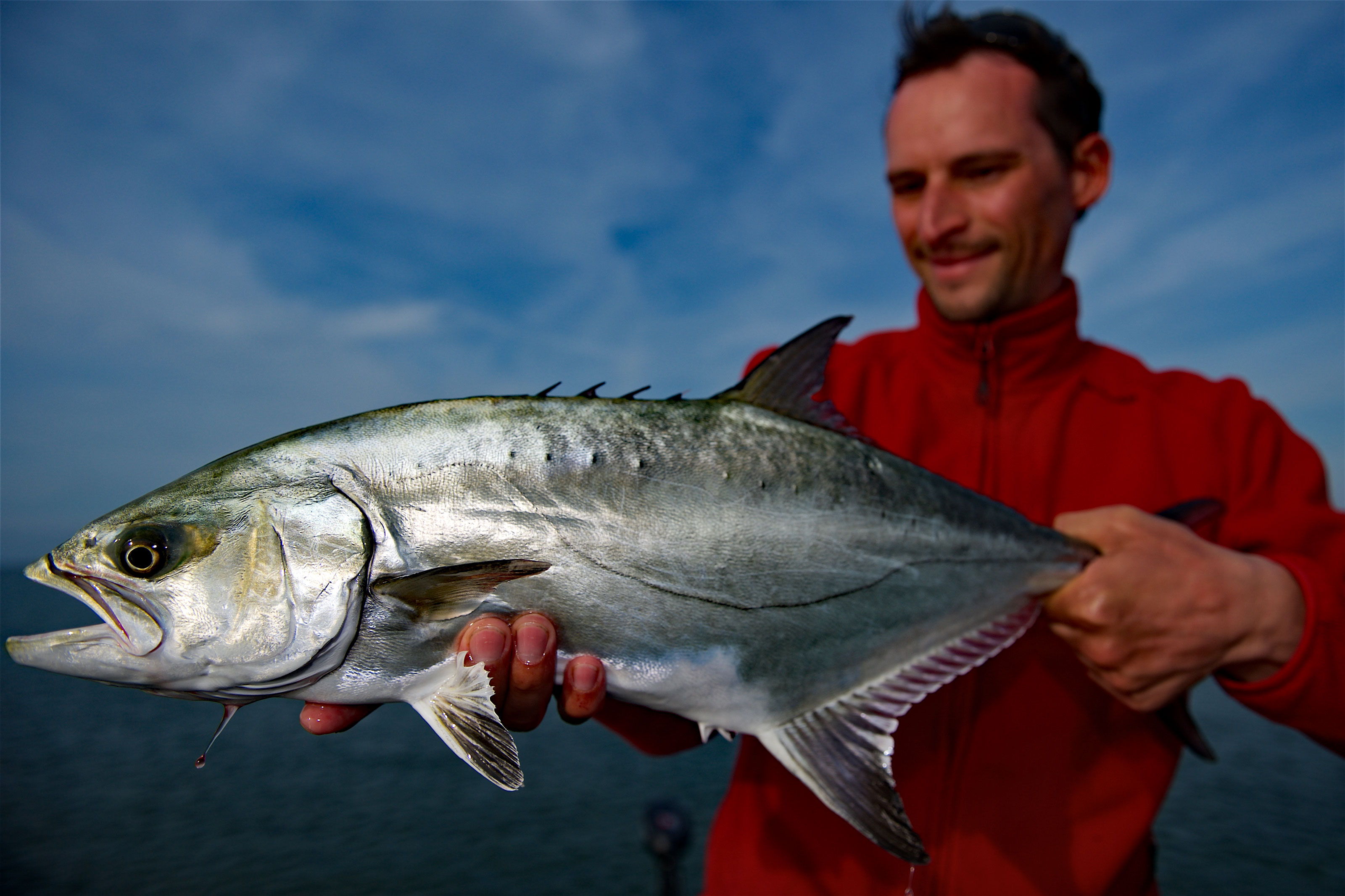 Ebrodelta Palometa