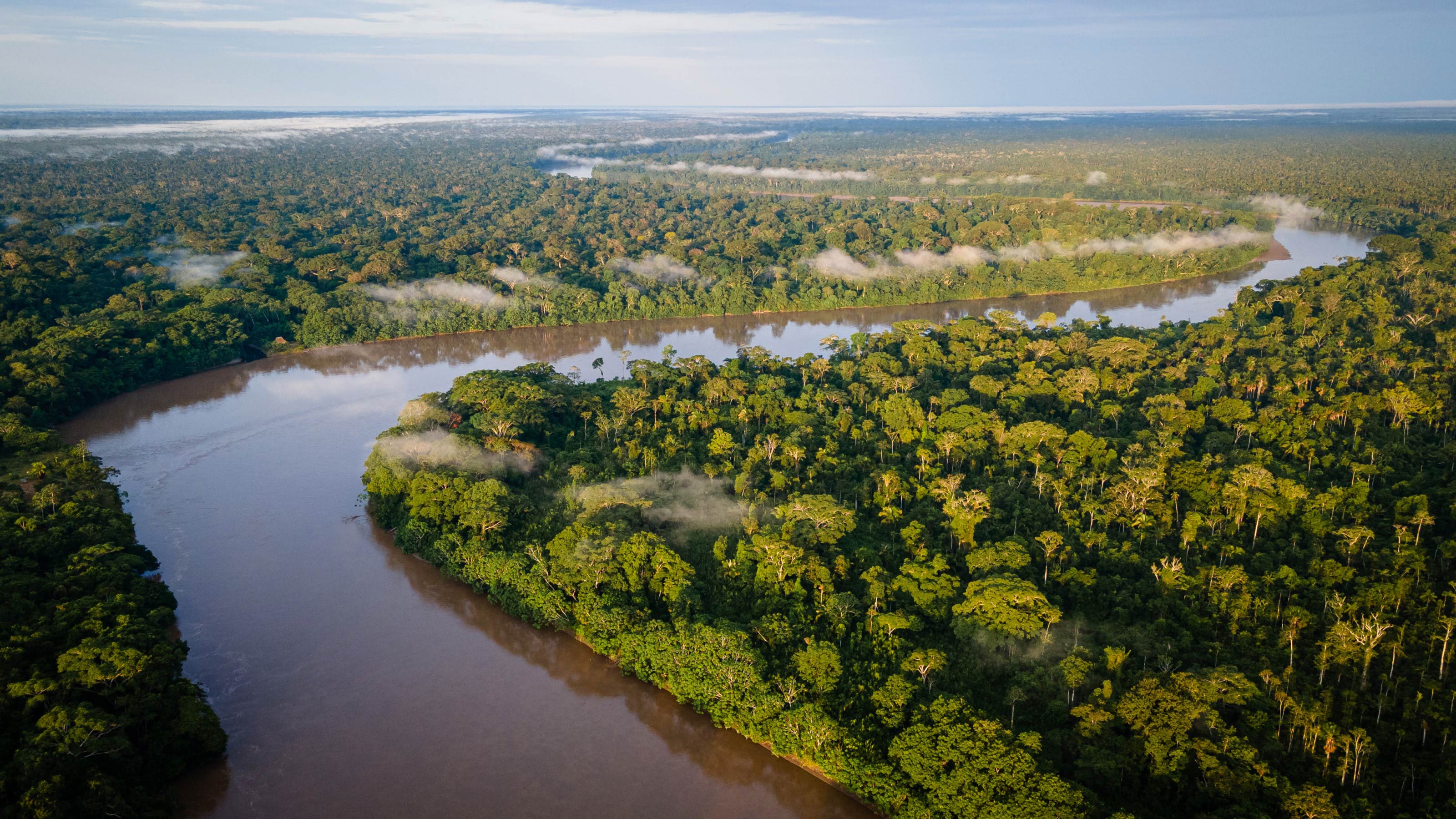 Ecuador: fishing, wildlife & adventure in the jungle